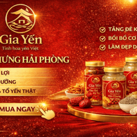 Mua yến chưng sẵn tại hải Phòng