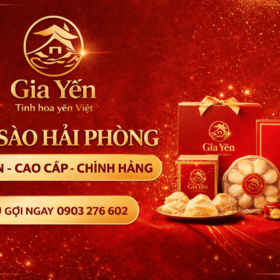 yen sao hai phong cao cap 1