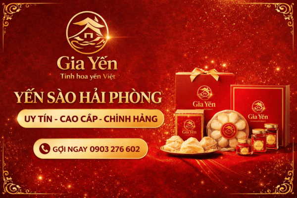 yen sao hai phong cao cap 1